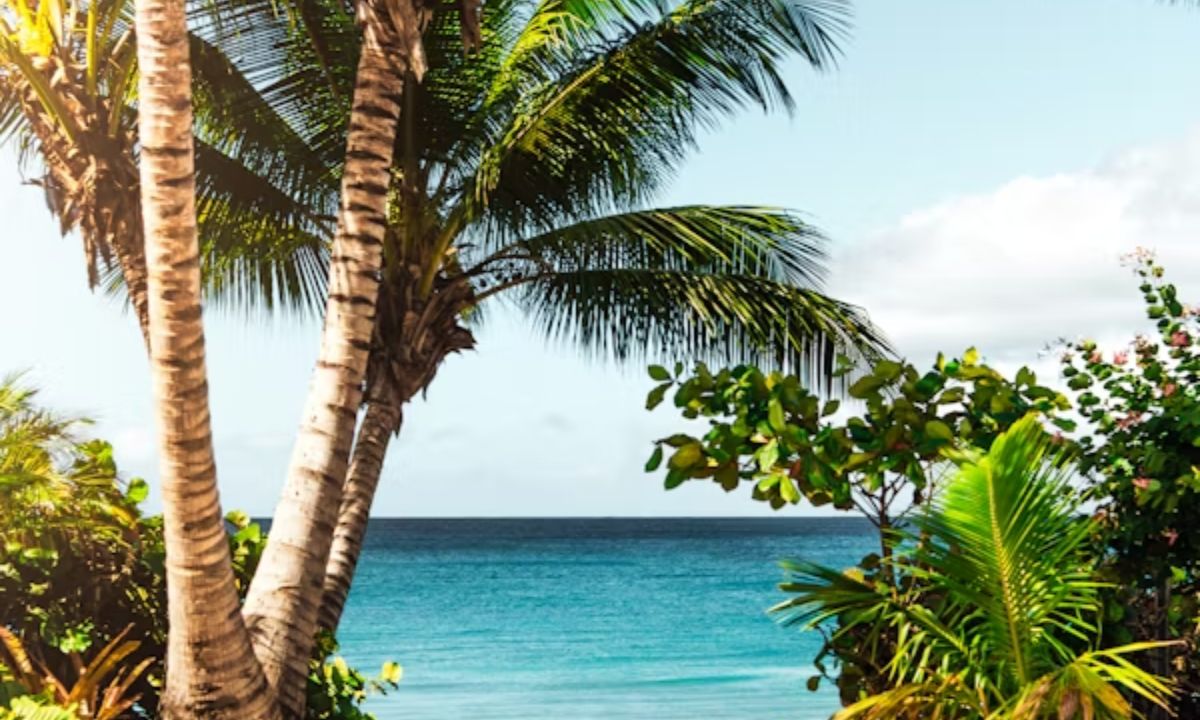 Funny Beach Puns