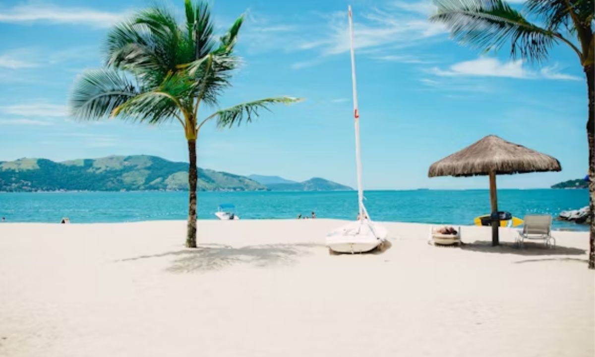 Short Beach Puns for Quick Laughs 