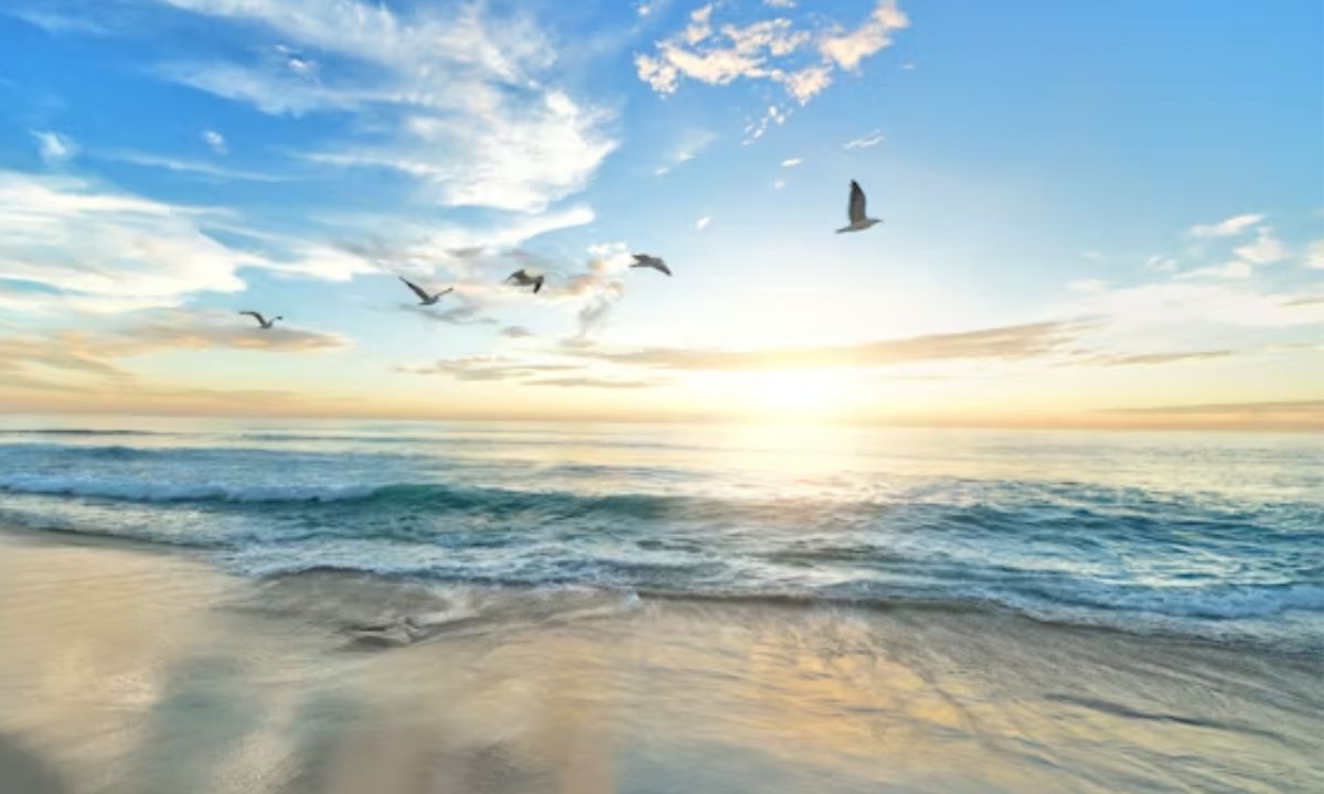 Ocean Puns That Make a Splash 