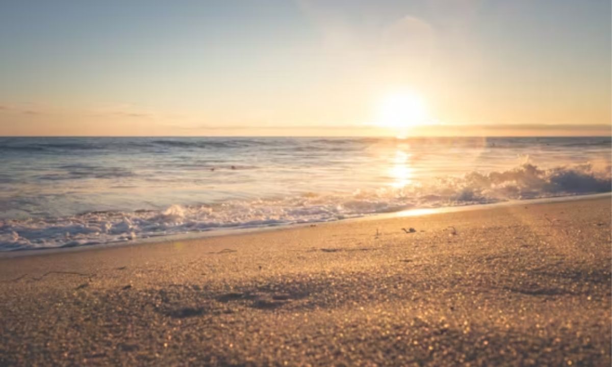  Romantic Beach Puns for Couples 