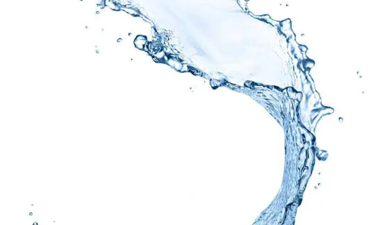 🌊 Clever Water Jokes and Punny Sayings