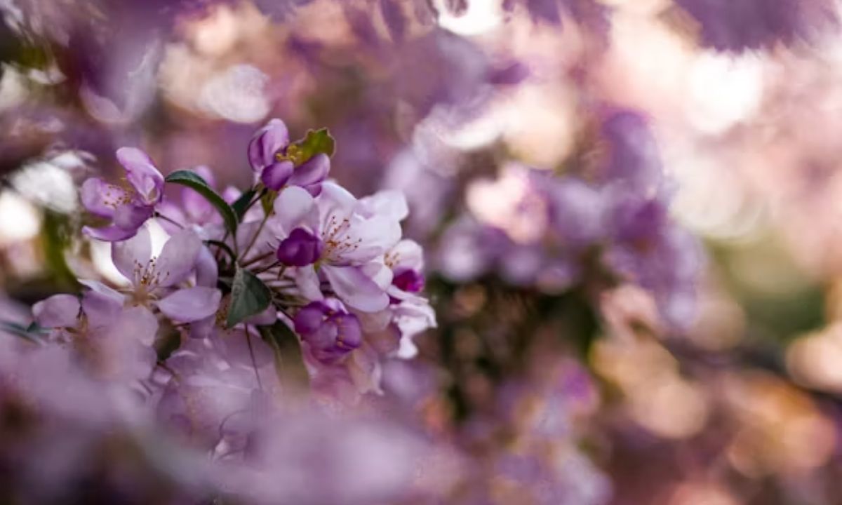 Funny Spring Puns That Will Make Everyone Blossom With Laughter