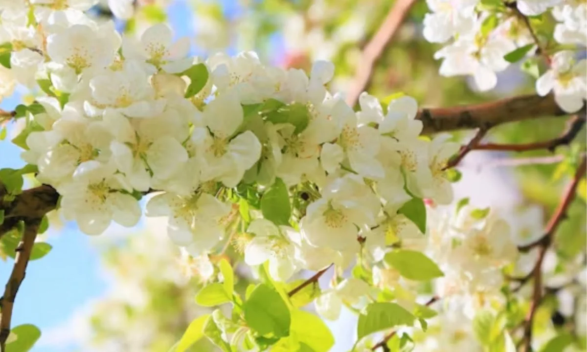 Bee, Butterfly, and Bird Spring Puns That Are Buzzing With Fun