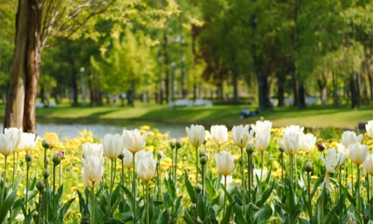 Romantic Spring Puns for Love Notes and Flirty Messages