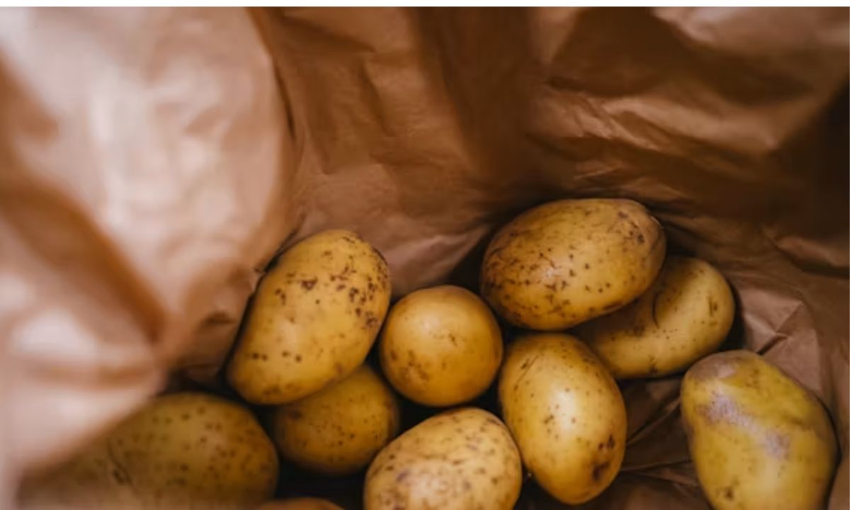 Best Potato Puns That Will Totally Mash Your Mood