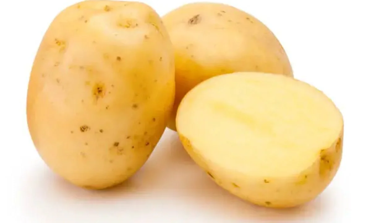 Cute Potato Puns for Instagram Captions That Go Viral in 2026 📸