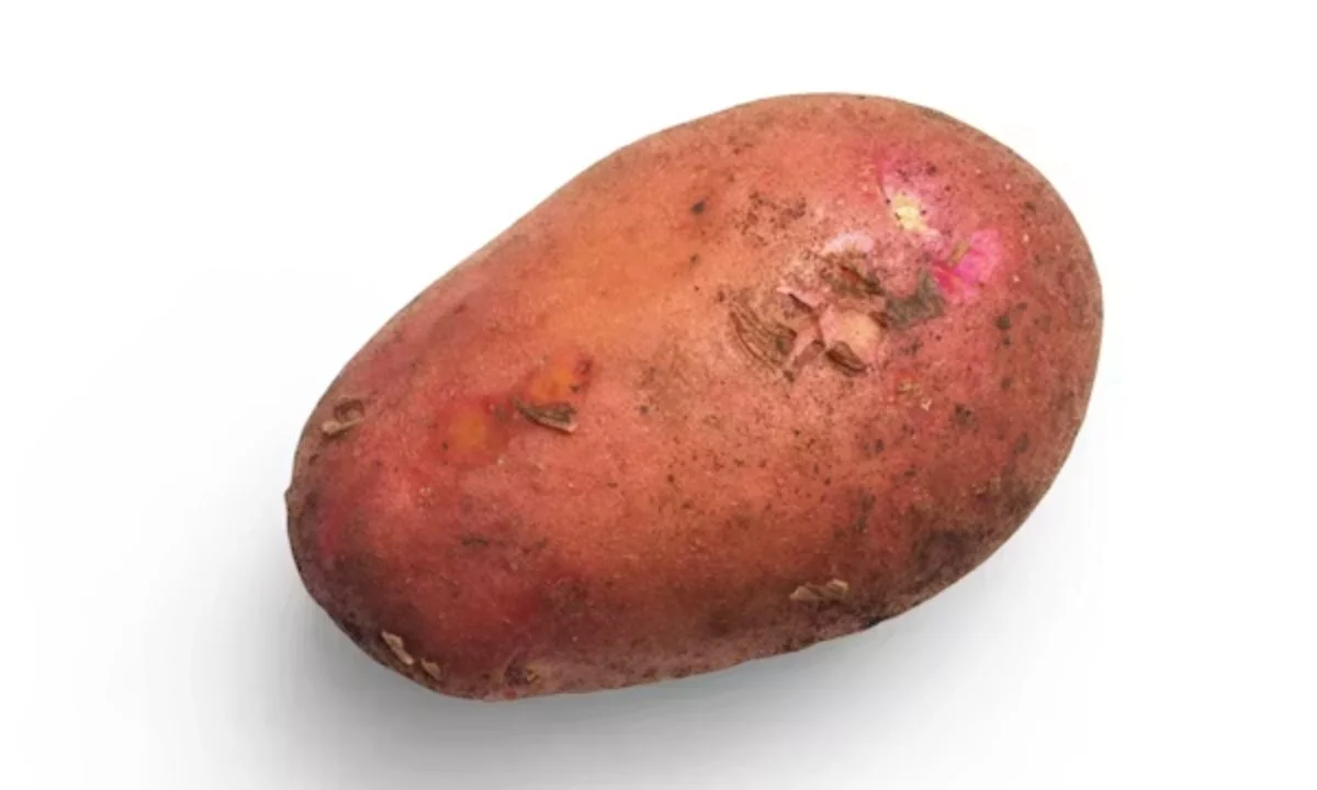 Funny Potato Sayings for Reels, TikTok & Social Media Posts 