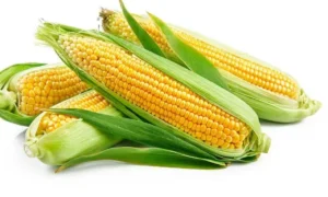 Corn Puns