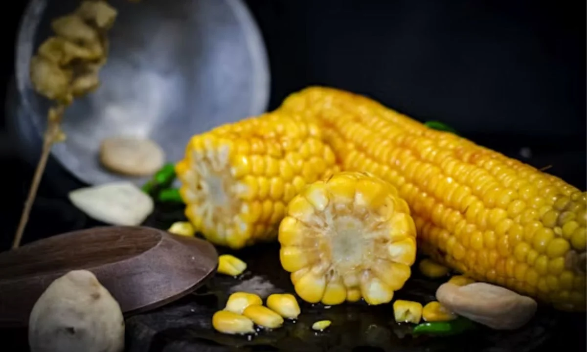 Best Corn Puns That Are Simply A-Maize-Ing
