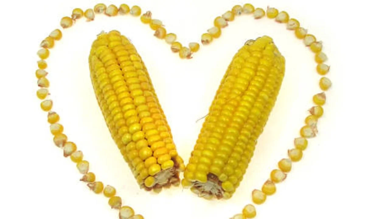 Short Corn Puns for Captions and Quick Laughs