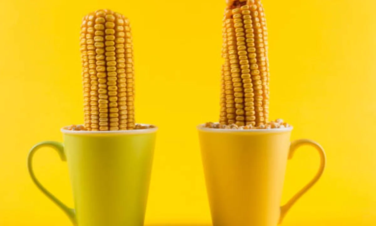  Sweet Corn Puns That Are Ear-Resistible