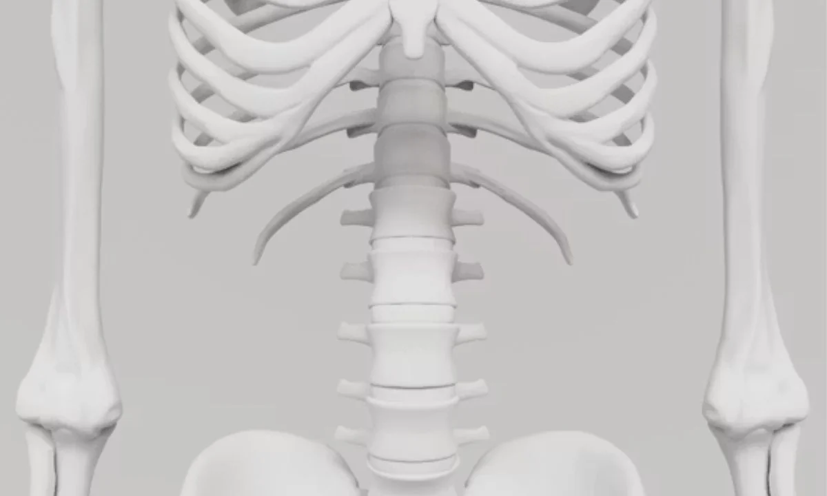 Bone-Chilling Puns for Halloween Parties and Themes