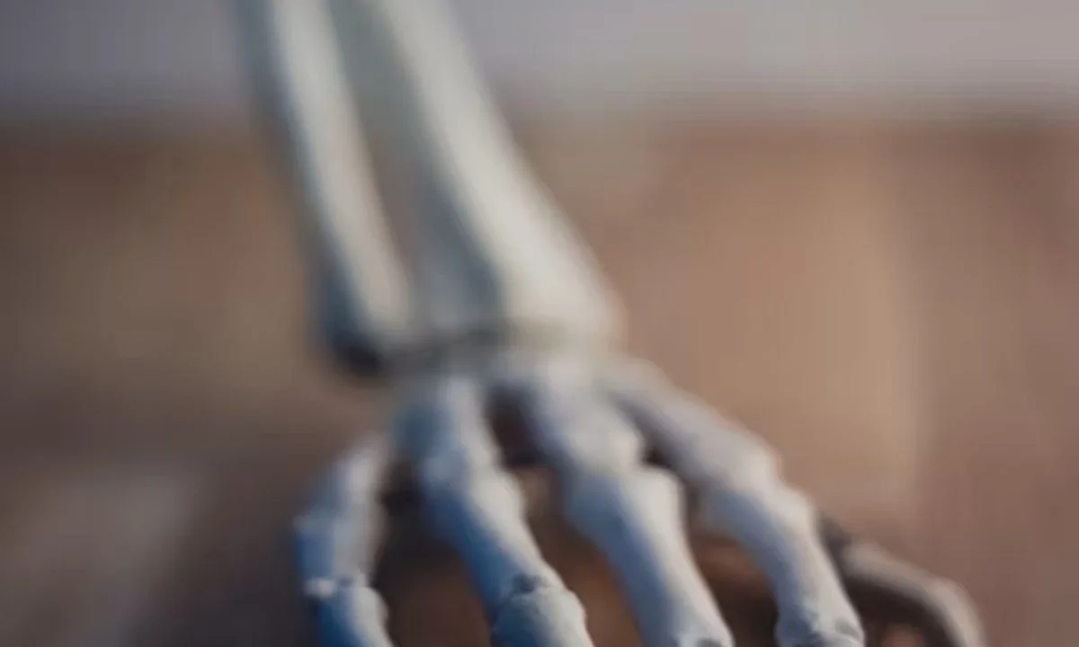 Skeleton Jokes and Bone Humor That Never Get Old