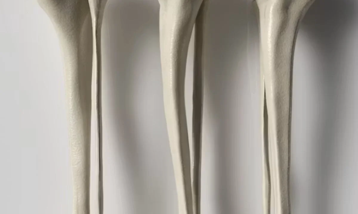 Best Skeleton Humor That Went Viral on Social Media