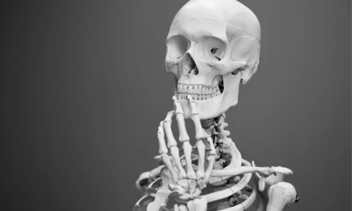 Extra Funny Bone Puns You Haven't Heard Before