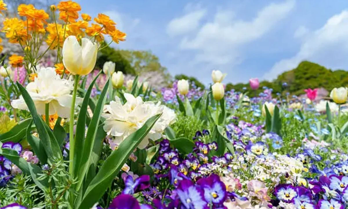 Best Flower Puns for SEO-Friendly Instagram Growth & Engagement