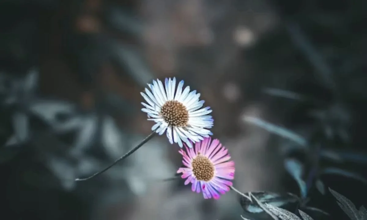  Aesthetic Flower Puns for TikTok Captions, Reels Hooks & Viral Posts