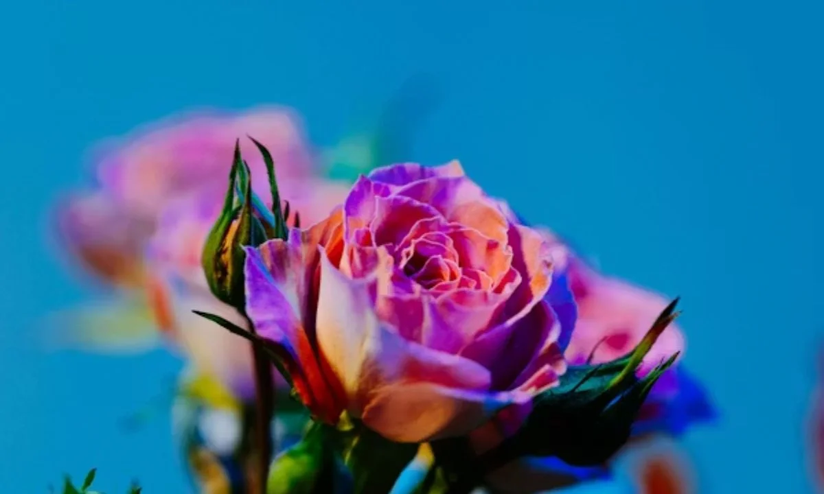  Wedding & Anniversary Flower Puns for Invitations, Cards & Couple Messages