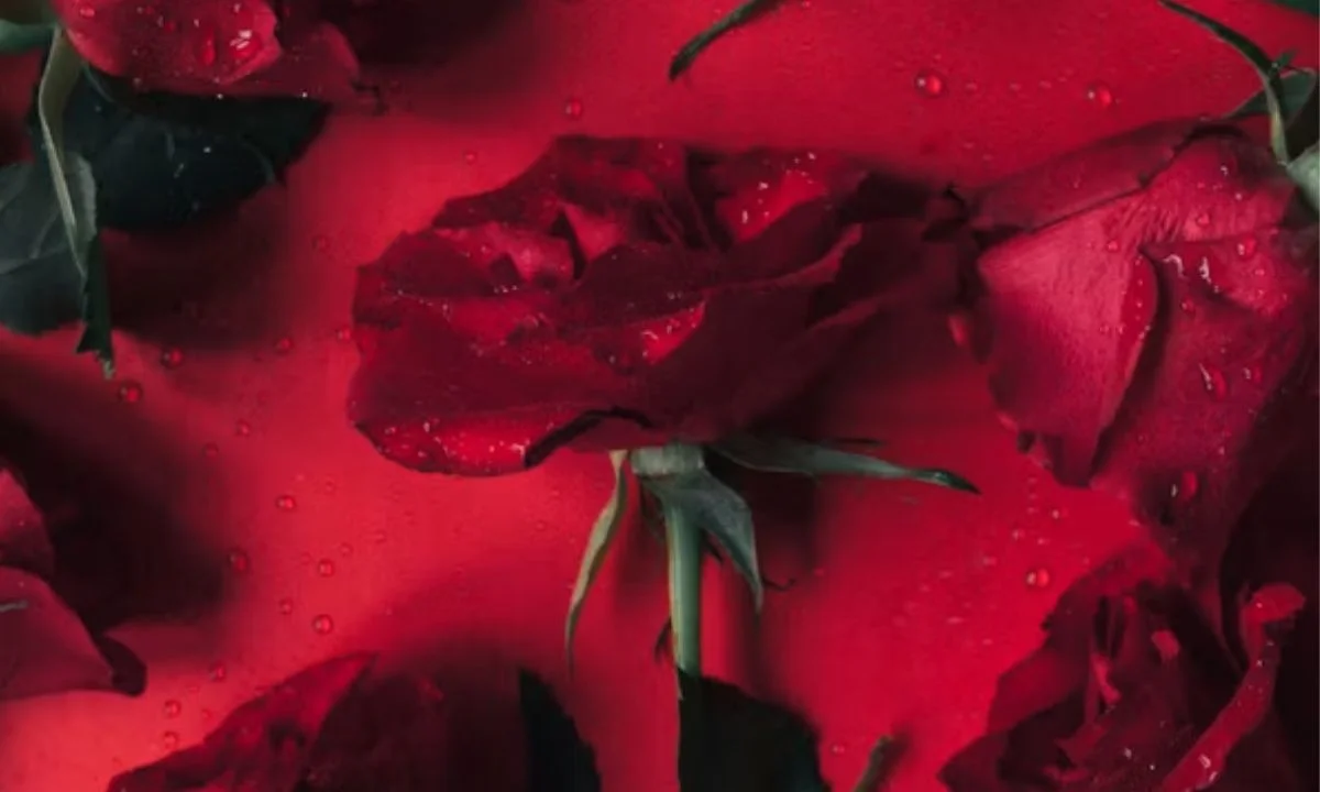 Ultra-Short Flower Puns for Micro-Captions, SMS Texts & Quick Replies