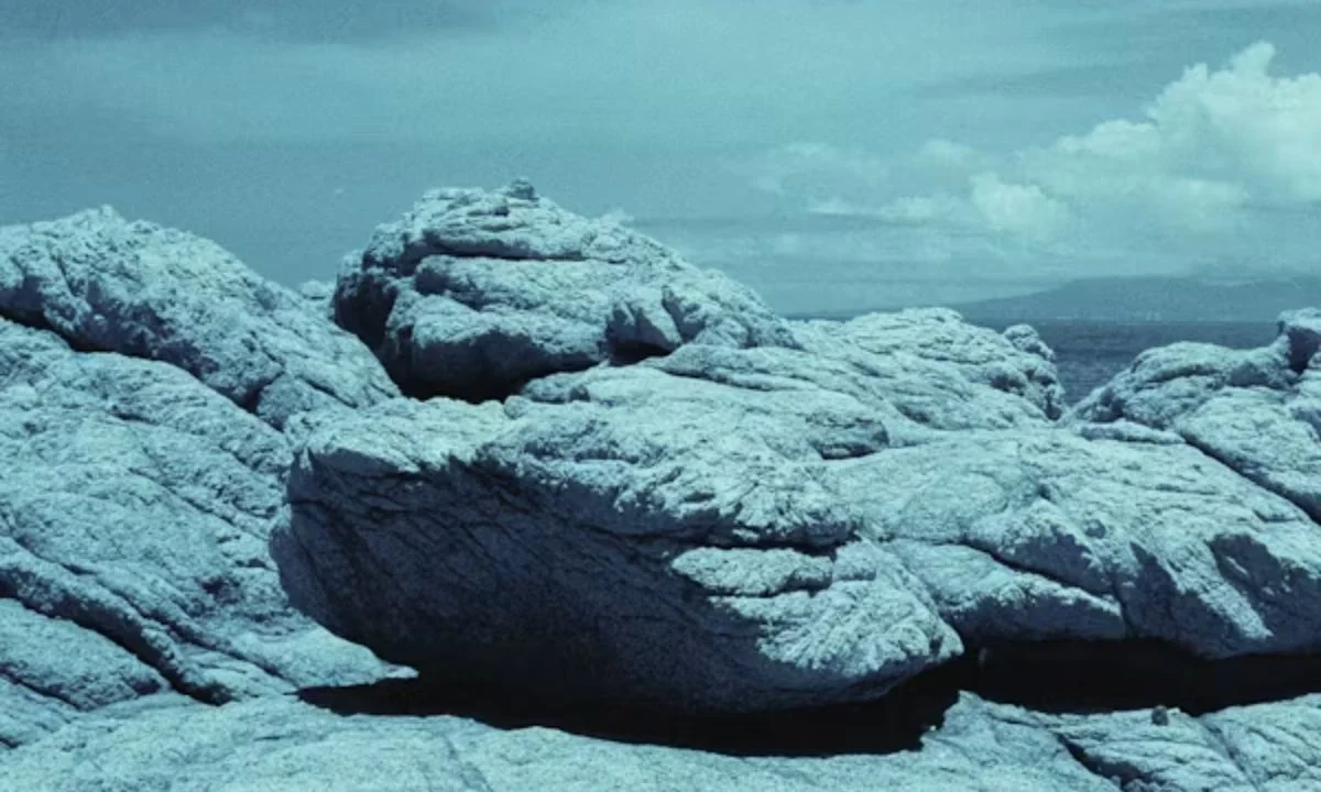 Punny Rock Captions for Instagram, TikTok & Social MediaPunny Rock Captions for Instagram, TikTok & Social Media