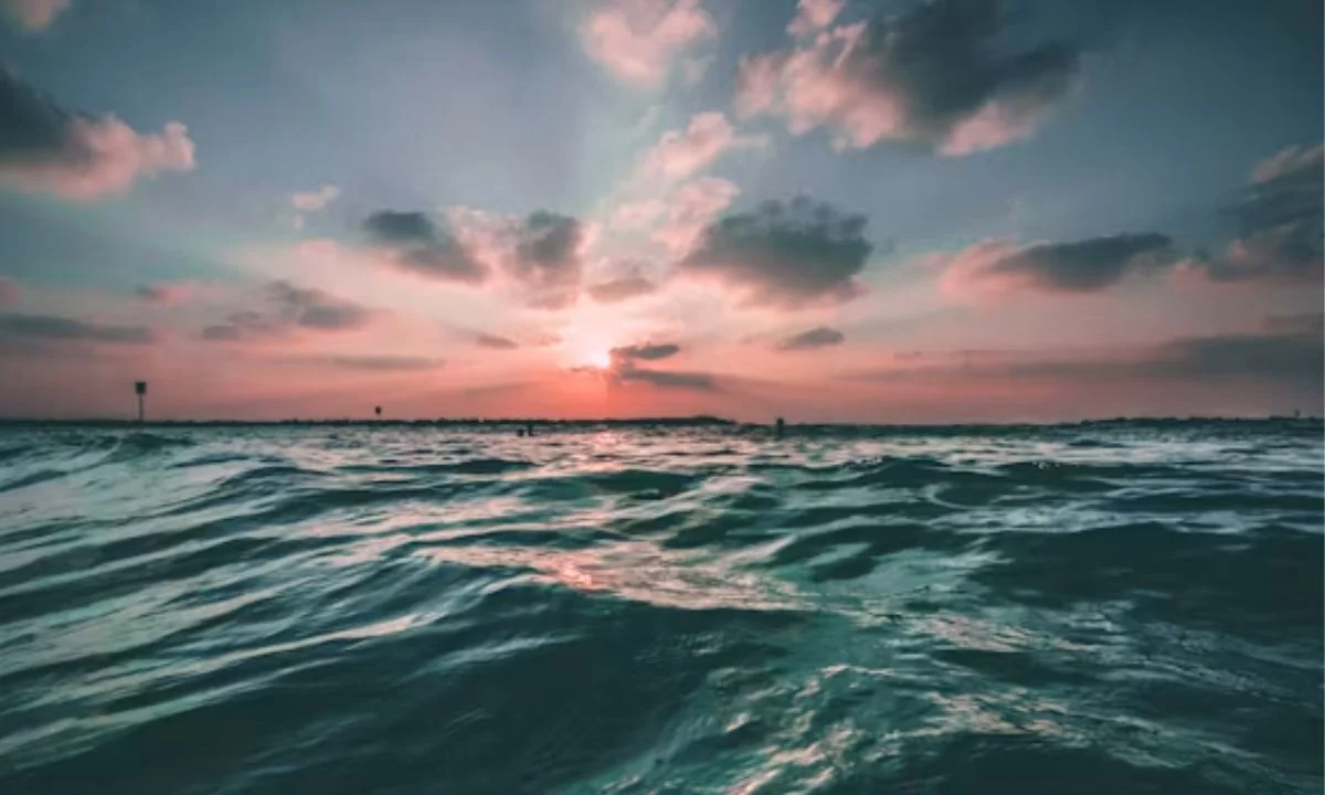 Deep Sea Puns and Underwater Jokes You'll Love