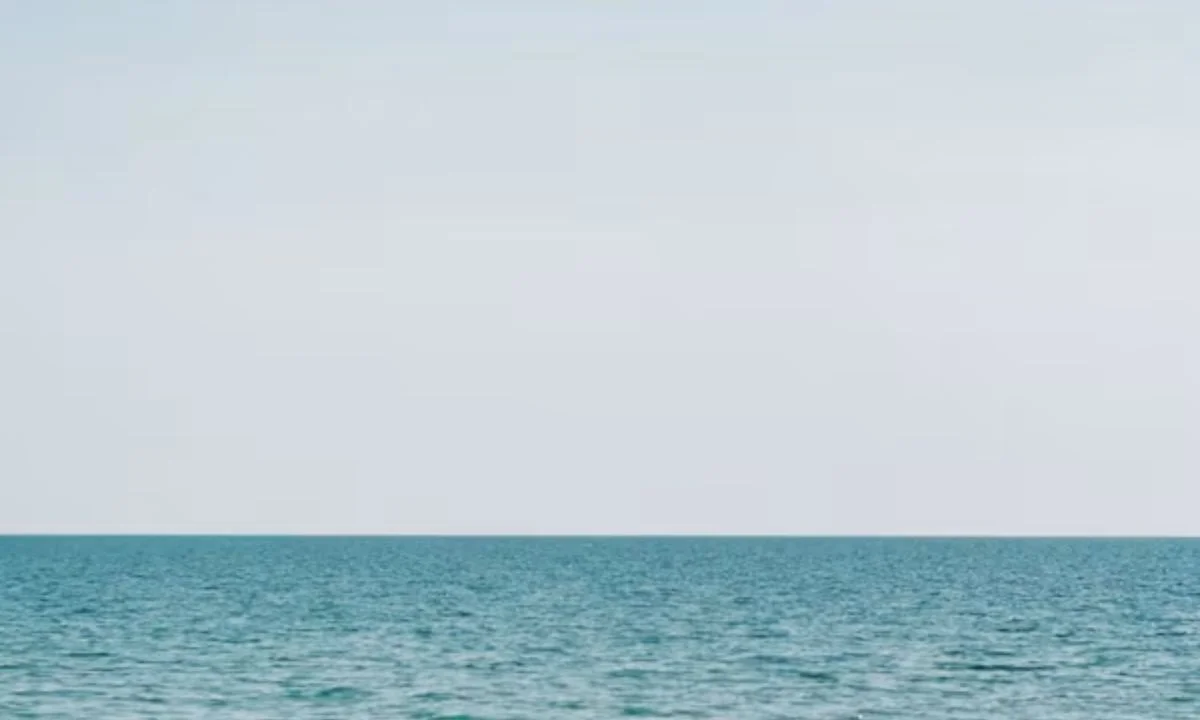 Hilarious Sea Puns That Will Make Waves of Laughter
