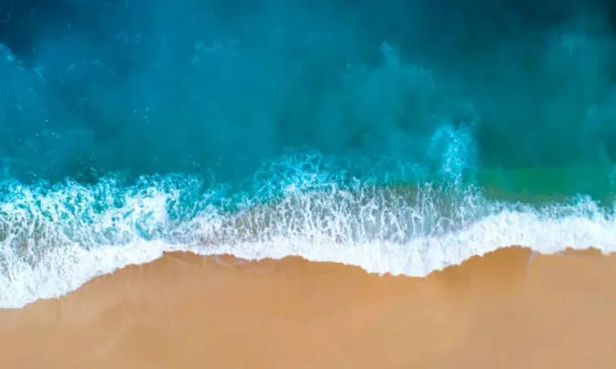 Short Ocean Puns: One-Liner Captions Perfect for Instagram
