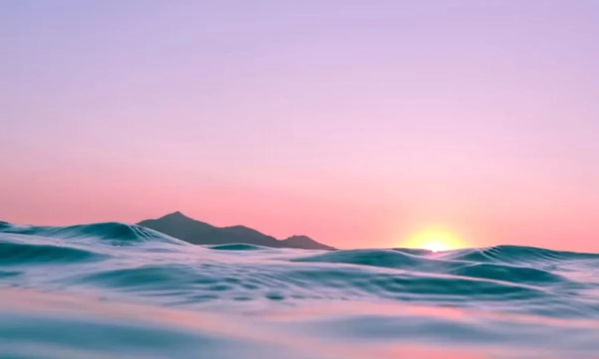 Funny Ocean Puns for Kids and Adults That Never Get Old