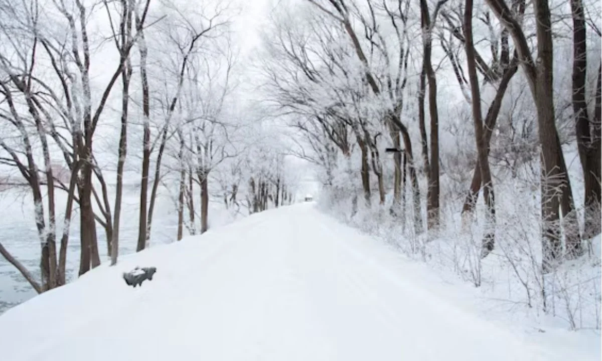 Clever Snow Puns and Frosty Wordplay