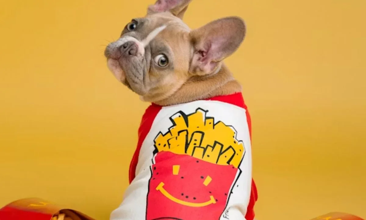 Dog Puns