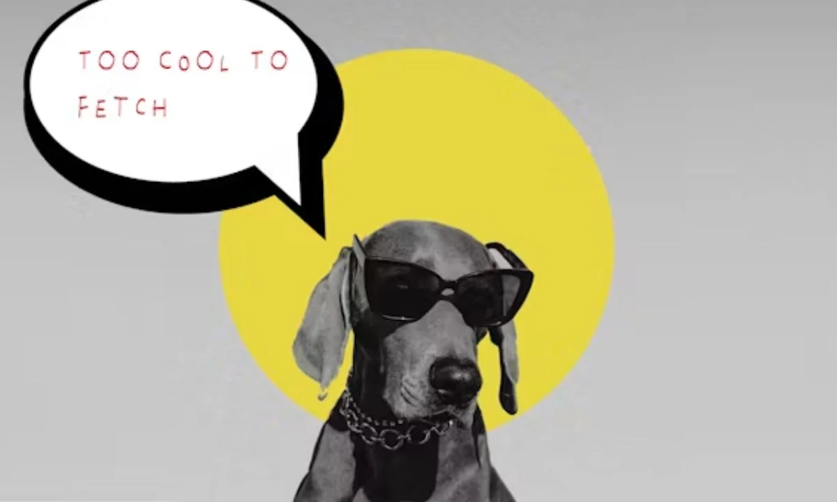 Best Hot Dog Puns That Never Get Old