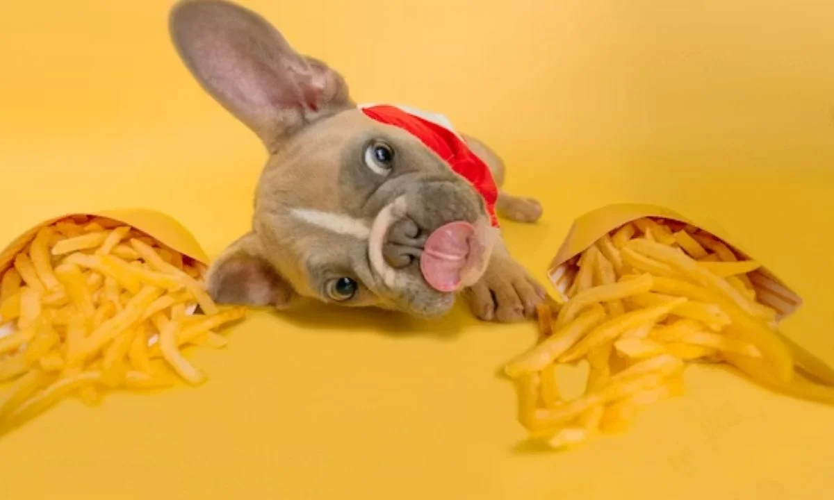 Hot Dog Love Puns for Couples and Crushes