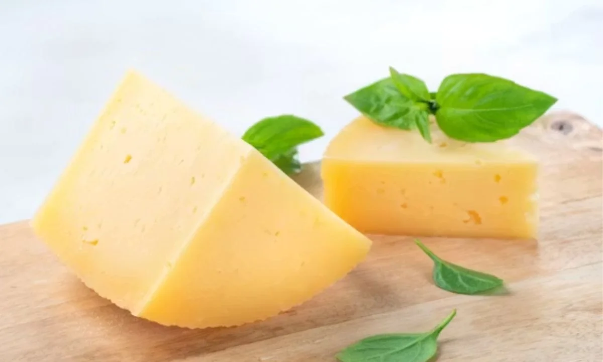 Short Cheese Puns for Quick Laughs and Captions