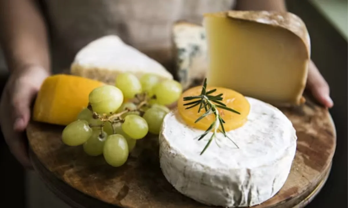 Funny Cheese Puns That Are Too Gouda to Ignore
