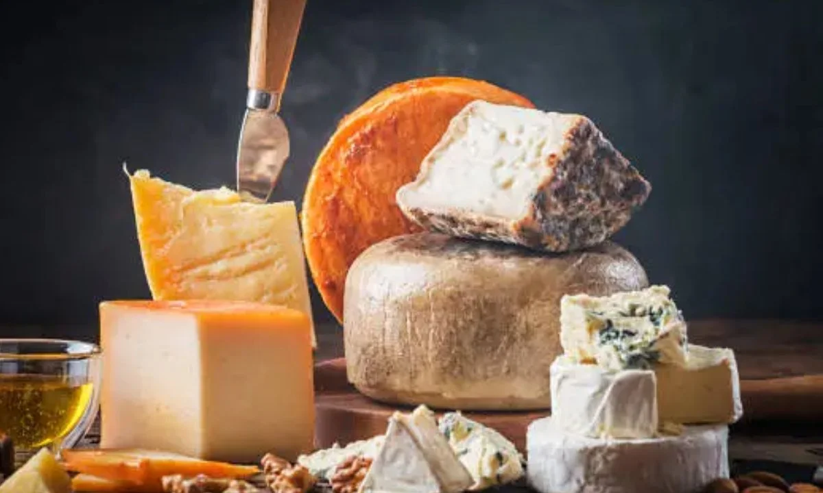 Best Cheese Puns and Cheesy Jokes for Every Occasion