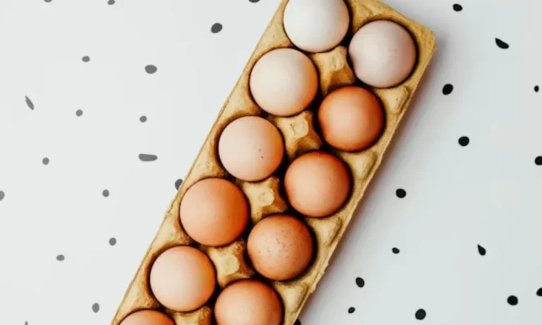 Egg Puns