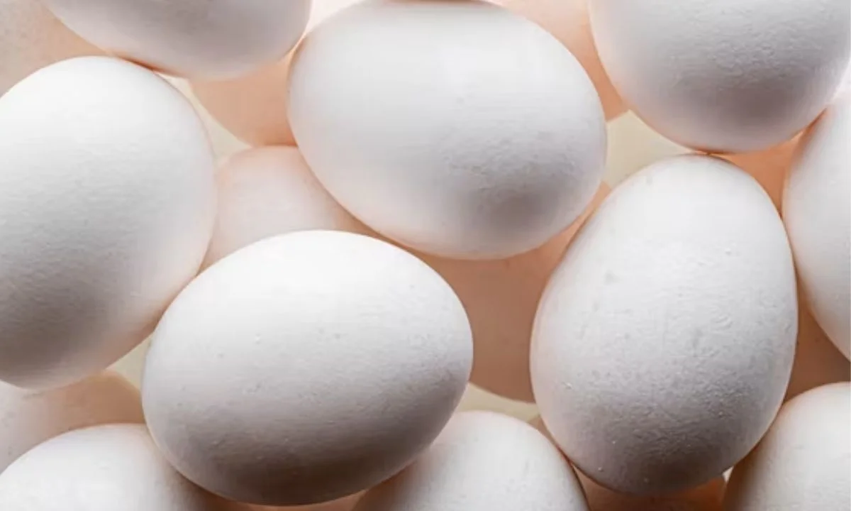 Best Egg Puns That Will Crack You Up Instantly