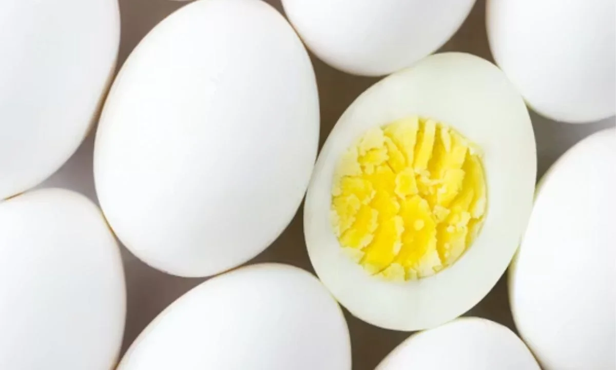 Cute Egg Puns Perfect for Kids and Families
