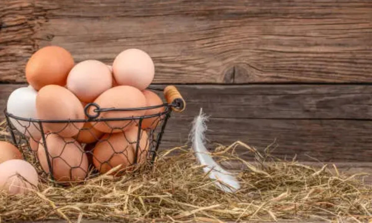 Romantic Egg Puns for Couples and Flirty Messages