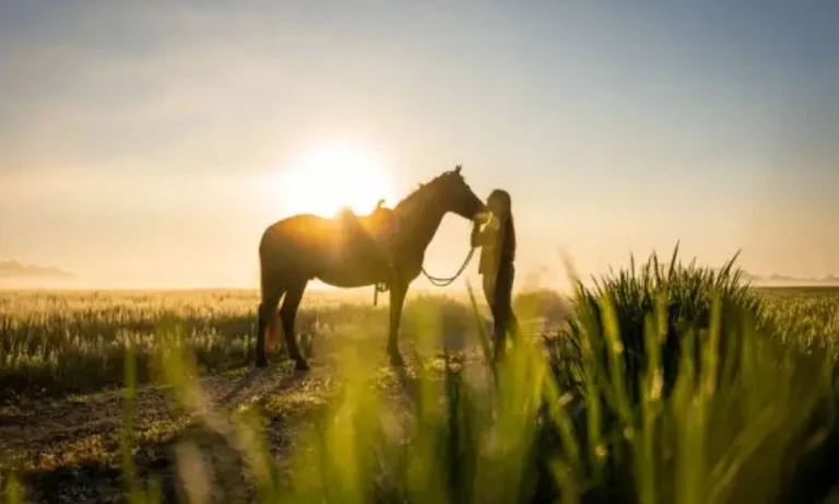 Horse Puns