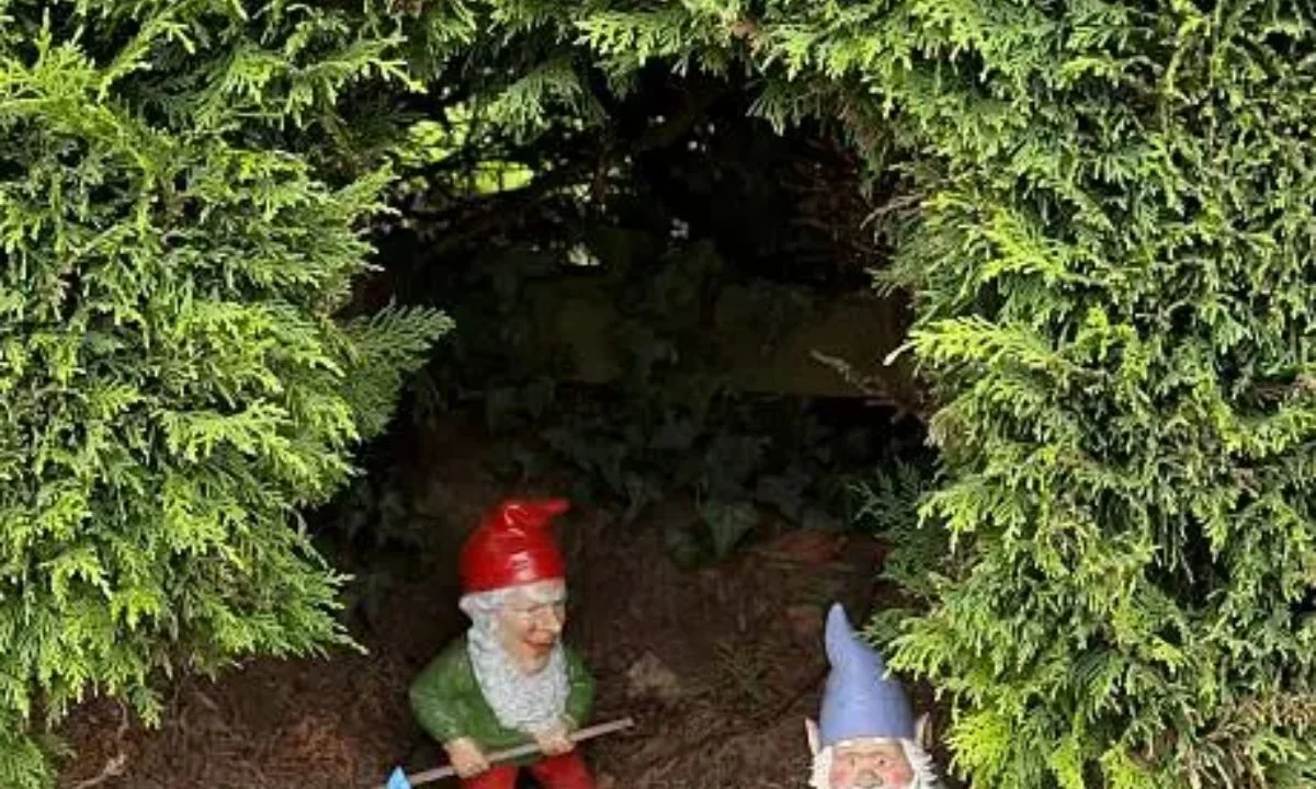 The Funniest Gnome Puns to End on a High Note
