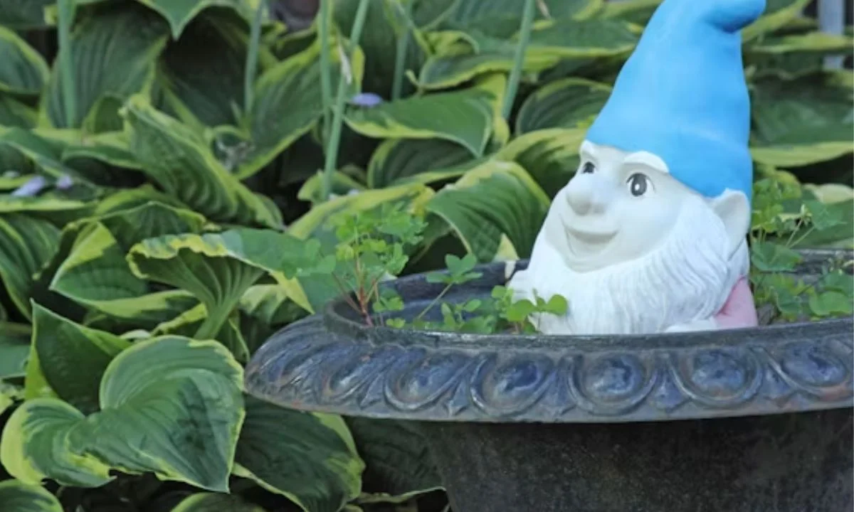Gnome Puns for Instagram Captions, Cards, and Gifts