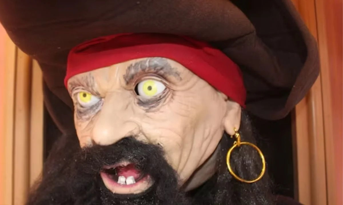 Short Pirate Puns for Captions {#short-pirate-puns}