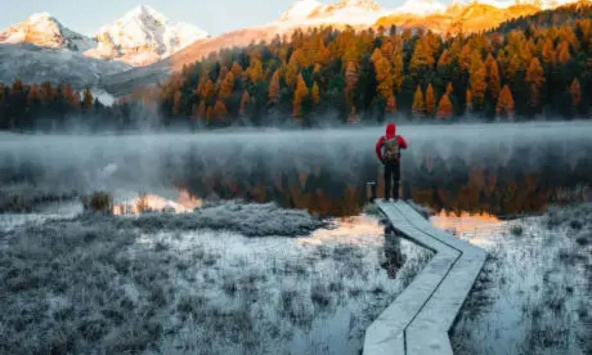 Leaf Puns, Tree Puns & Nature-Inspired Autumn Wordplay