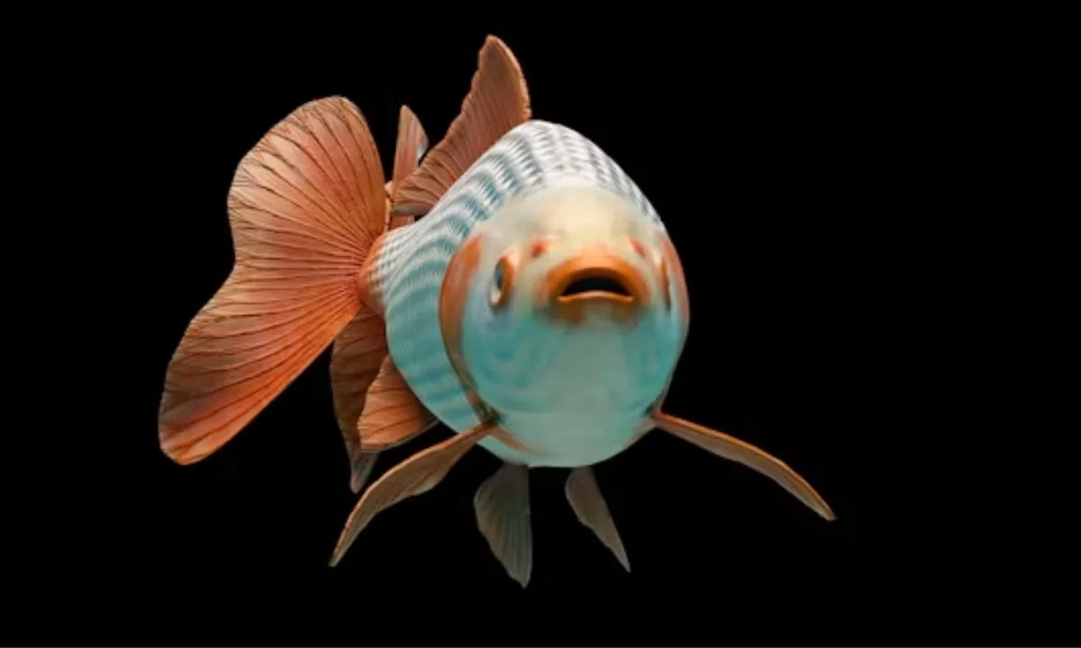 Best Fish Puns That Are Fin-tastically Funny