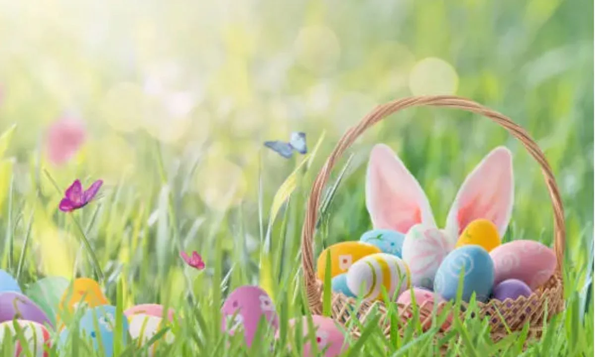 Best Bunny Puns to Share with Friends and Family