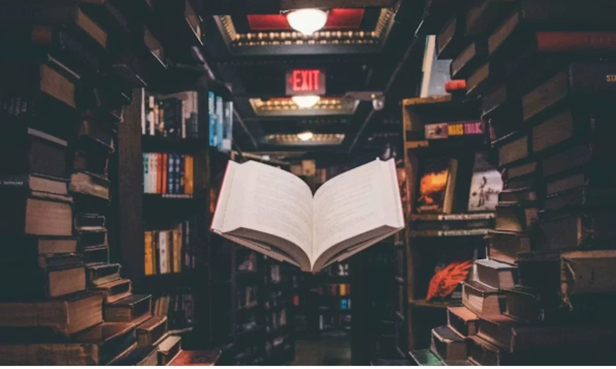 Reading Puns Every Bookworm Will Love