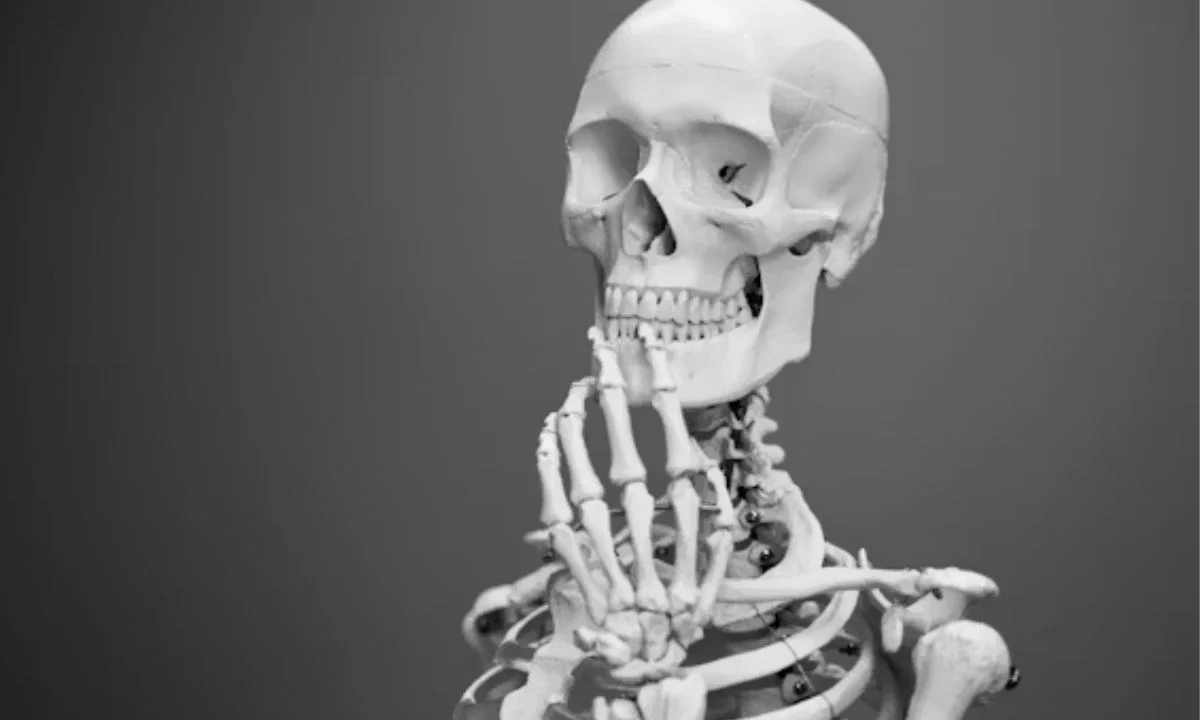 Funny Skeleton Puns Everyone Will Find Humerus