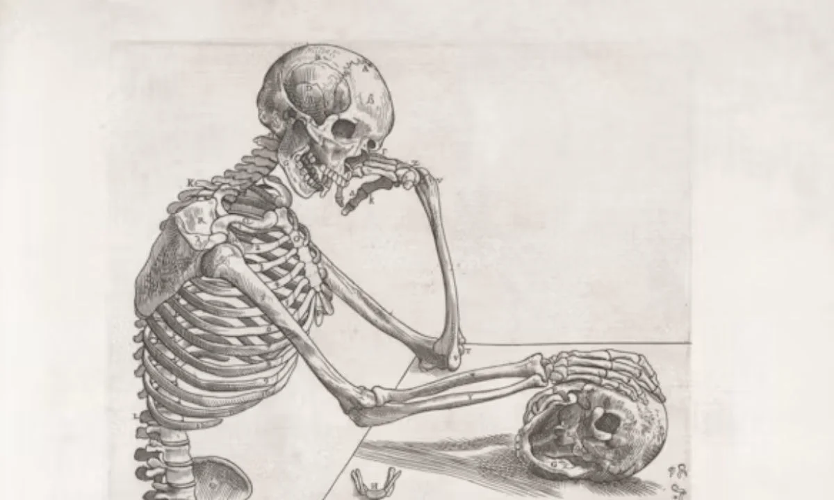 Clever Skeleton Puns Full of Bone-Tastic Wordplay