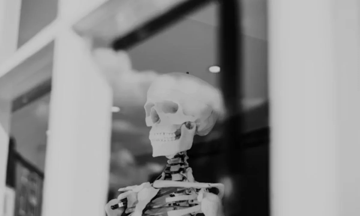 Skeleton Puns for Instagram Captions and Halloween Posts